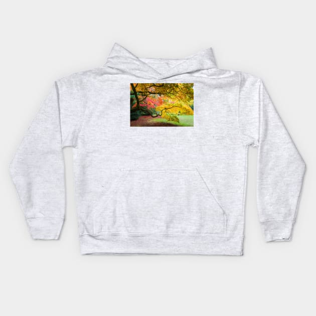 Japanese Maples (Acer Palmatum) in Autumn Colours Kids Hoodie by GrahamPrentice